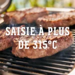 Barbecue électrique WEBER lumin black stand – Image 11